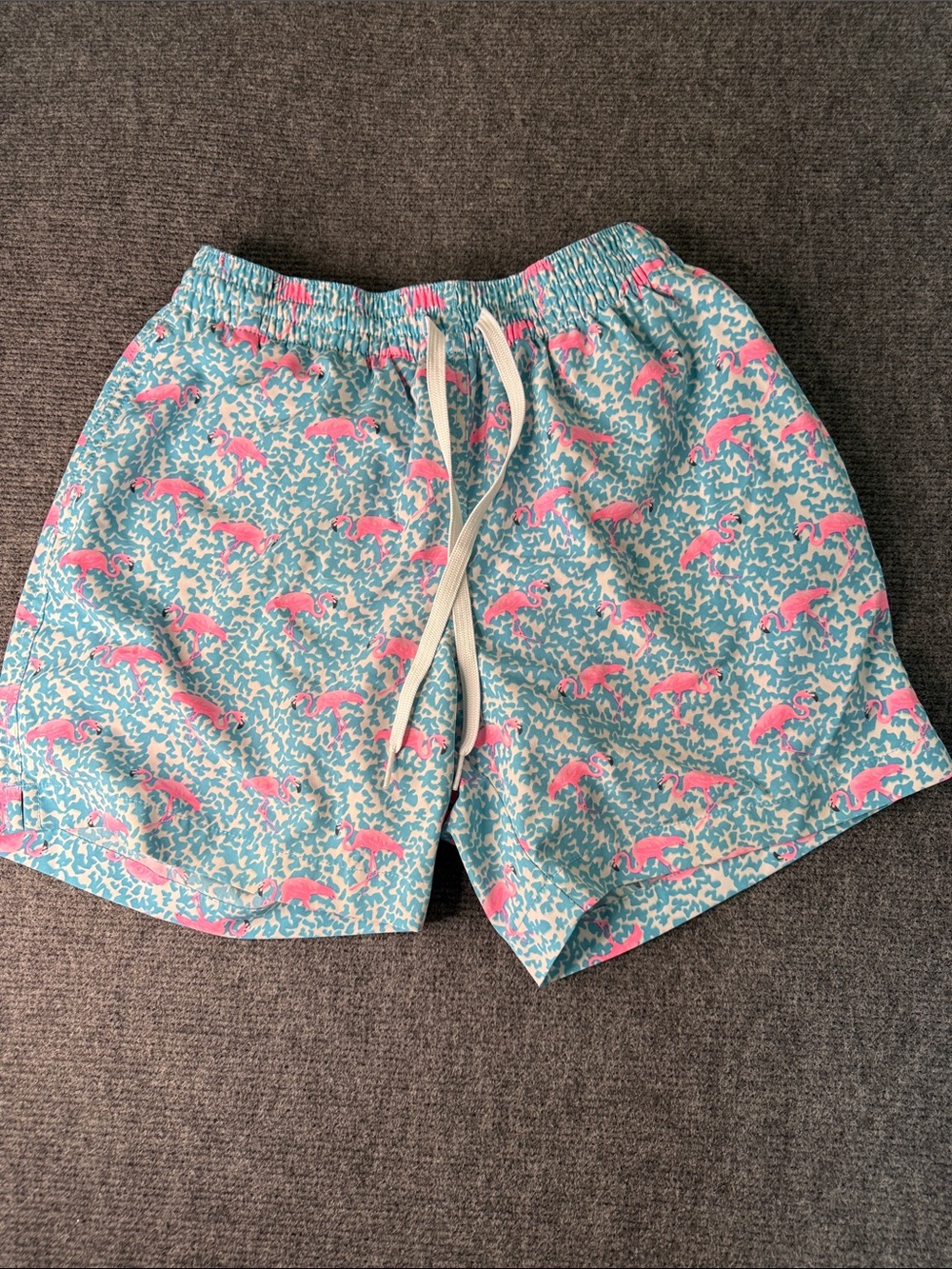 chubbies Aqua Swim Trunks with Pink Flamingo Print